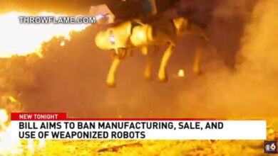 New York law would ban civilians from weaponizing their robots