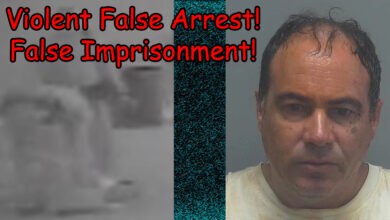 North Fort Myers, Florida Man Alleges Violent False Arrest and Imprisonment: The Case of Enzo Vincenzi Former Fort Myers, Florida resident in Lee County, Enzo Vincenzi has told us he was assaulted, falsely arrested and imprisoned.