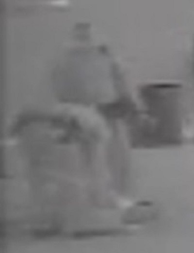 A blurred, grayscale image shows a person standing near a trash can, possibly on a street. The image quality makes it difficult to discern specific details, but it may depict a police confrontation or arrest related to the Enzo Vincenzi case in North Fort Myers, Florida, involving alleged police assault and wrongful imprisonment.
