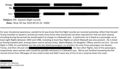 An SDNY Assistant U.S. Attorney email, dated January 8, 2020, reveals that Donald Trump flew on Jeffrey Epstein's jet many more times than previously reported between 1993 and 1996, sometimes with Ghislaine Maxwell. Passengers included Marla Maples, Tiffany Trump, and Eric Trump.