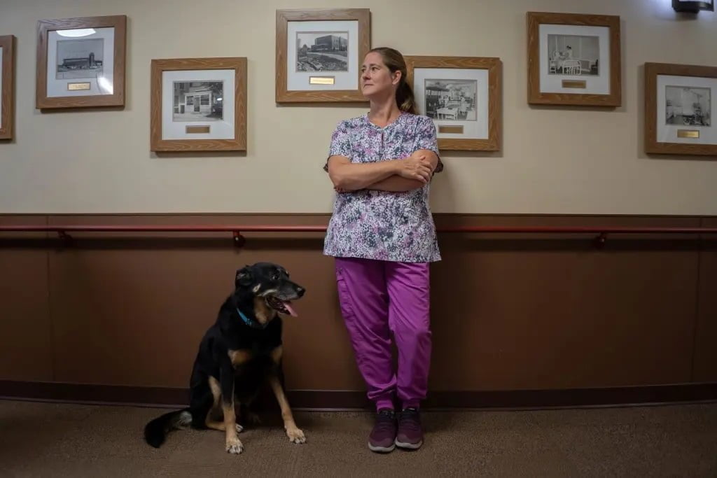 The Heartwarming Tale of Scout, the Dog that Escaped from an Animal Shelter and Brought Joy to a Nursing Home
