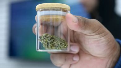 The Path to Reform: US Health Department Recommends Reclassifying Marijuana. Senate leaders have expressed their backing for this move, recognizing its potential to align federal policy with the realities of marijuana's legal status in many states. (Polaris)