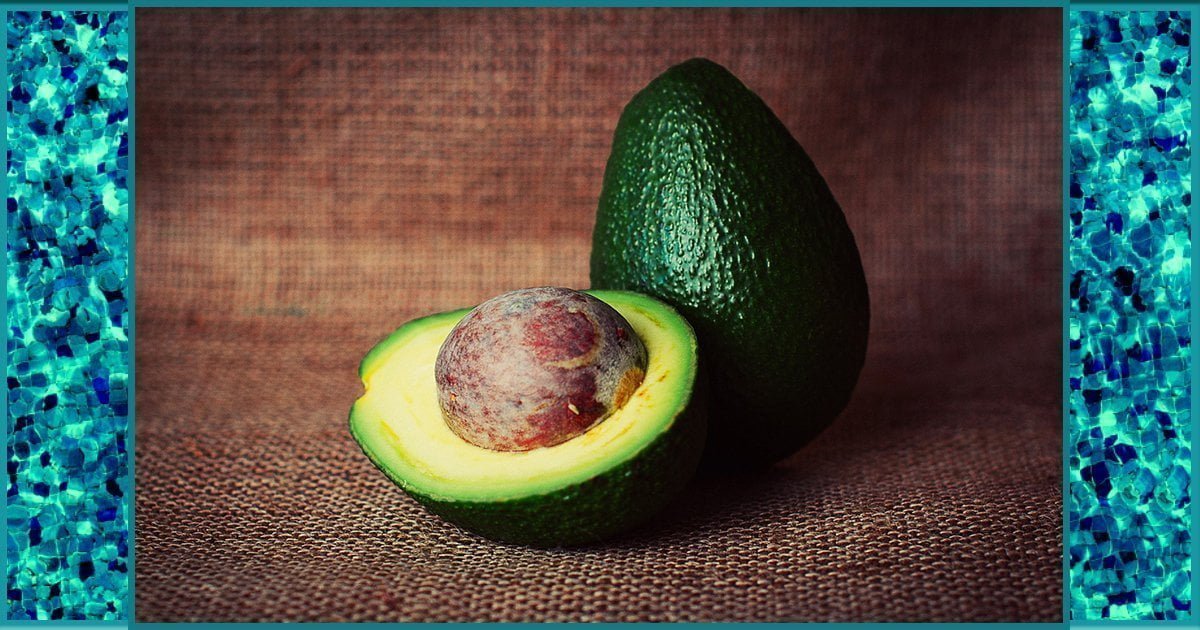 The United States suspends all avocado imports from Mexico