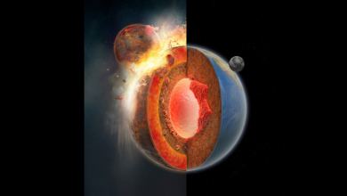 a diagram of the earth's structure In this depiction, fragments of the historic celestial body Theia descend and gather at the base of the Earth’s mantle, giving rise to two "bulges" known as significant low-velocity provinces (LLVPs) located far beneath the Earth's surface.