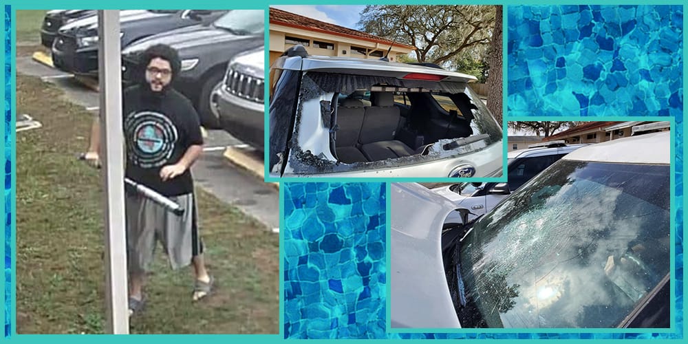 Florida Man Strikes Again! Caught on video smashing sheriff’s vehicles with baseball bat