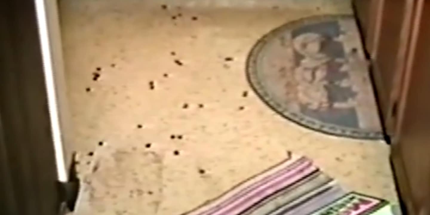 Blood splatters from the crime scene do not look like they were from a running woman.