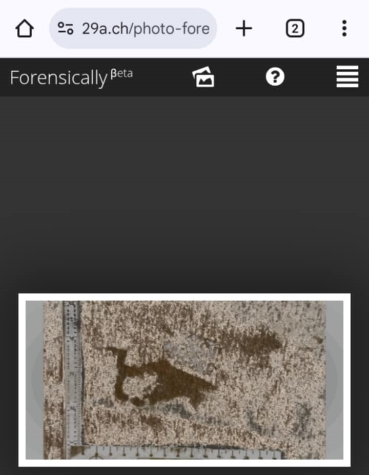 More forensic images of Swartz' blood-stained sweat pants. (1)