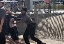 Wild video shows Jersey Shore police officers put surfer in chokehold over beach admission pass One witness can be heard yelling, 