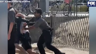 Wild video shows Jersey Shore police officers put surfer in chokehold over beach admission pass One witness can be heard yelling,