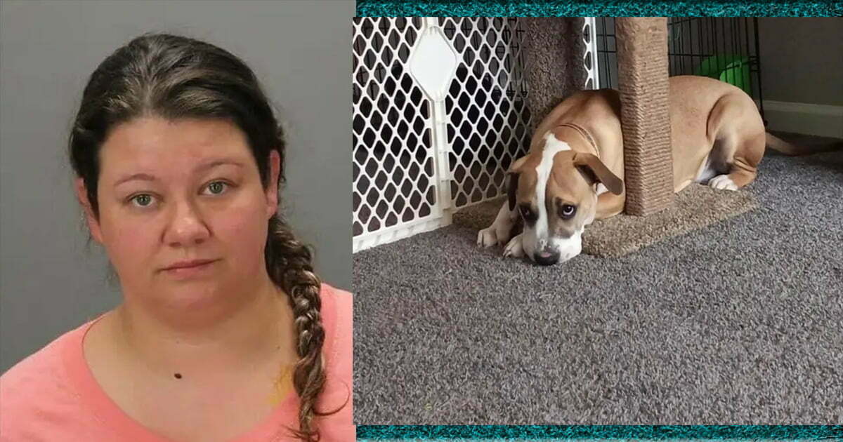 Woman charged with performing sex act on her dog after ex-boyfriend discovers disturbing footage: ‘She's heard saying good boy’