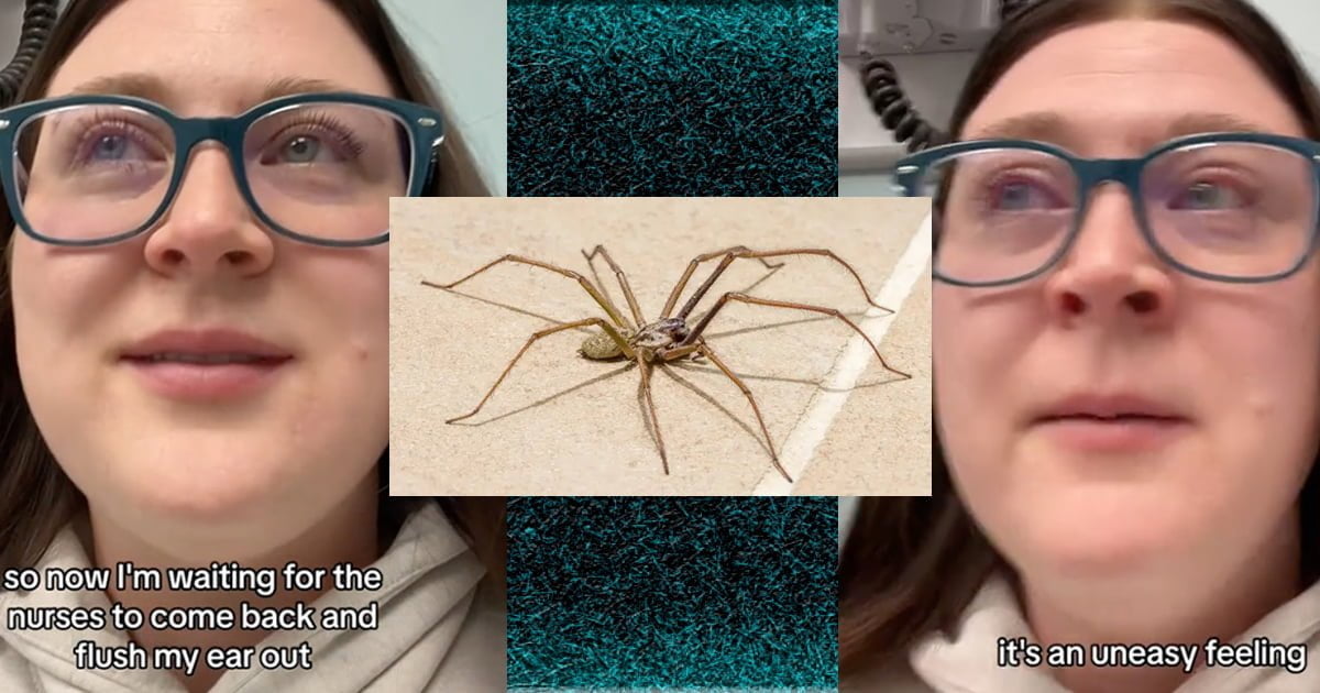 Woman gets live spider removed from her ear in viral traumatic TikTok, ‘I threw up’