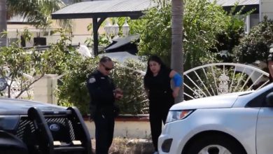 Woman in furious rage caught on video punching firefighter, then crashing into police car Chavez was caught on camera engaging in a physical altercation with the firefighter at the roadside