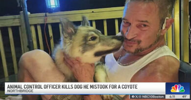 Animal Control officer called to neighborhood for coyote sighting kills 'loveable' pet dog, owner distraught Photo of Kirk Rumford with his dog, Odin. (NBC10 Boston / YouTube)