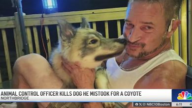 Animal Control officer called to neighborhood for coyote sighting kills'loveable' pet dog, owner distraught Photo of Kirk Rumford with his dog, Odin. (NBC10 Boston / YouTube)