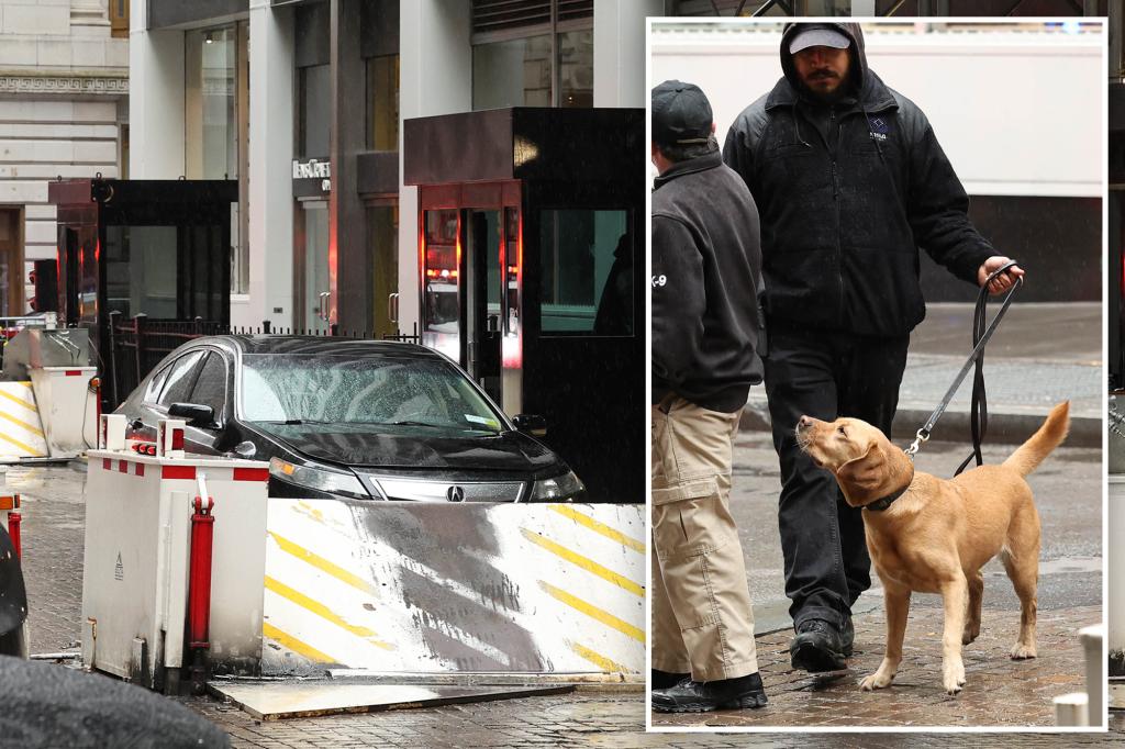 Bomb-sniffing dog leads handlers to explosive outside the NYSE — which turned out to be rat poop