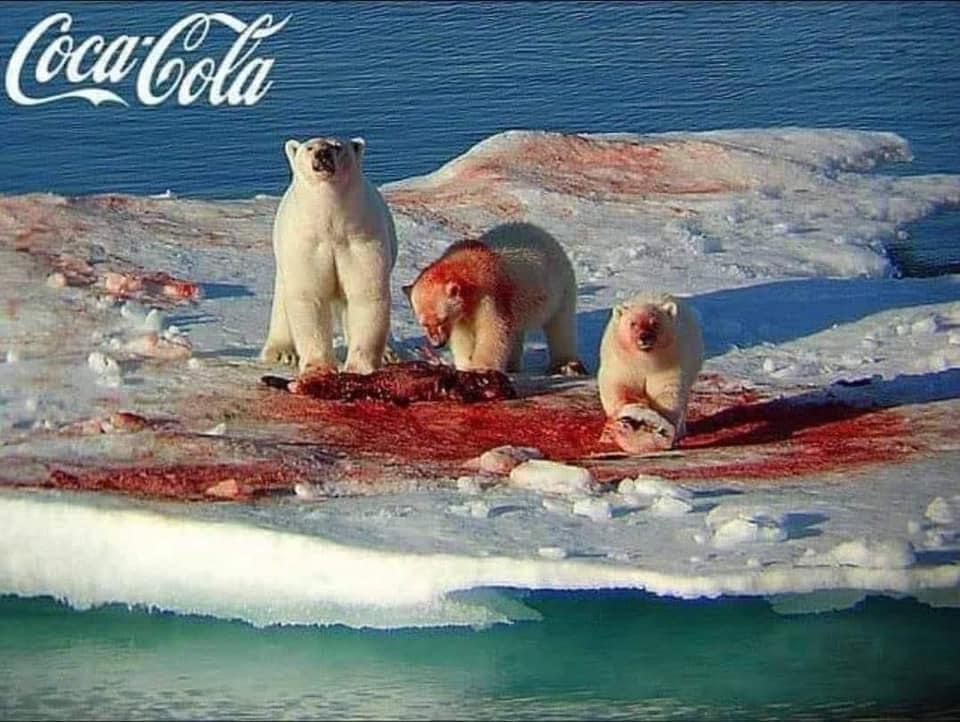 coca cola polar bears christmas bears brings me back to my childhood dank memes