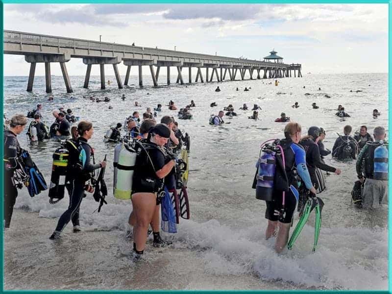 Divers Break Guinness World Record for Largest Underwater Cleanup