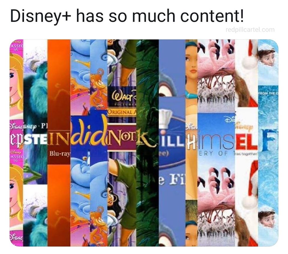 Even Disney knows what's up! disney+ epstein did not kill himself