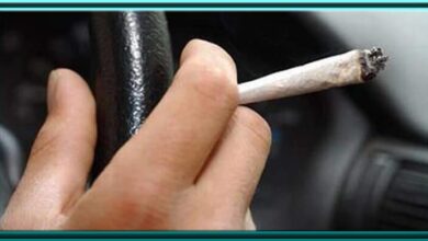 Marijuana Effects on Driving Performance Almost Zero, Reveals Study