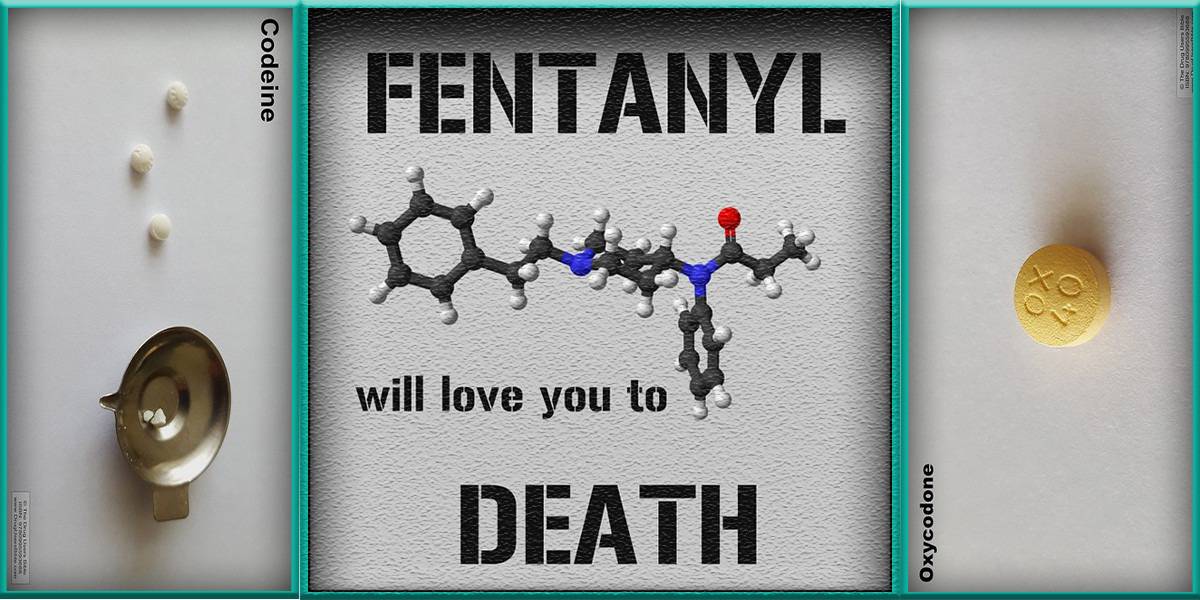 Fentanyl Codeine Oxycodone will love you to death opioid crisis overdoses overdose deaths fall drop lower decline