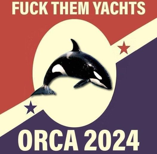 fuck them yachts orca whales 2024 dank memes