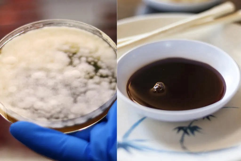 Hair, bugs, and mold! The shocking truth about what’s inside your favorite foods