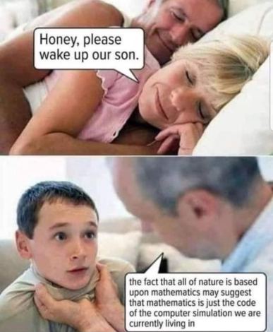honey please wake up our son mathematics and nature computer simulation we are living in dank memes