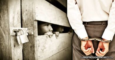 Worldwide Network Of 87,000 Pedophiles Dismantled - U.S. Media Silent