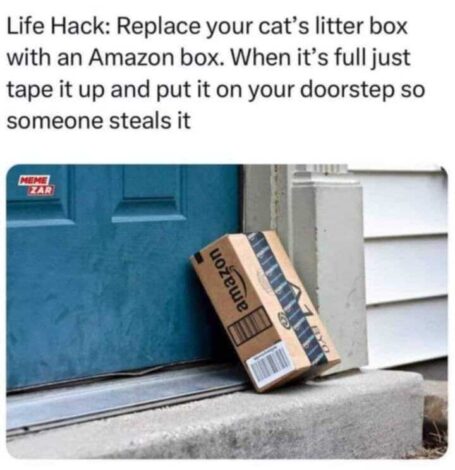 life hack replace cats litter box with an amazon box set on porch when full so it gets stolen dank memes