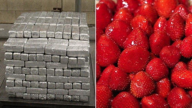 meth methamphetamine found trailer truck frozen strawberries texas port
