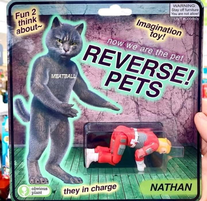 reverse pets now the humans are the pet dank memes