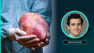 Older and younger donor hearts inside teal frames, showing a transplanted heart can shift toward the recipient biological age
