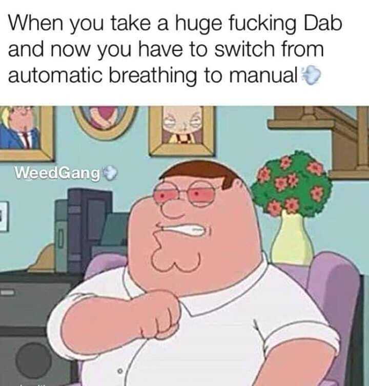 Dab overload. when you take a huge fucking dab and have to switch from automatic breathing to manual dank memes
