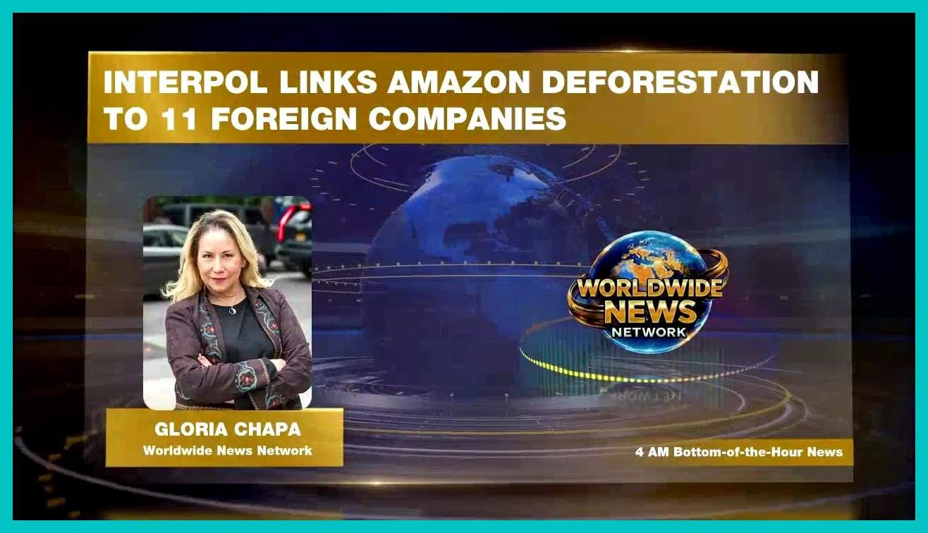 News broadcast graphic reading that Interpol links Amazon deforestation to 11 foreign companies