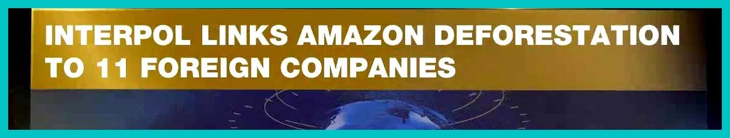 Enlarged news banner reading Interpol links Amazon deforestation to 11 foreign companies